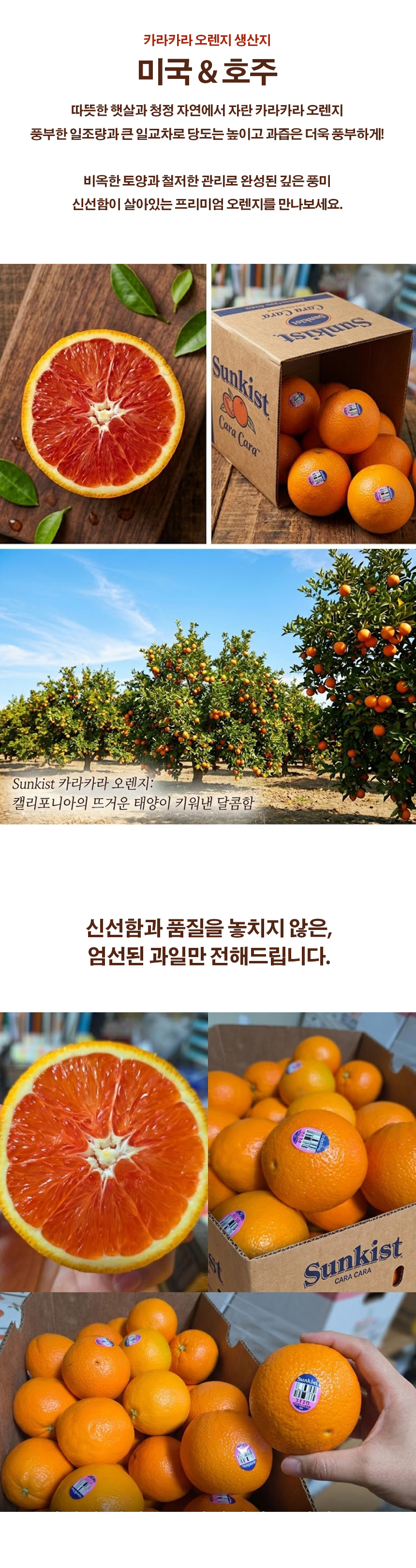 5590c5a029b64496201a60bca512d2e2_1773747113_6218.jpg 5590c5a029b64496201a60bca512d2e2_1773747113_6218.jpg