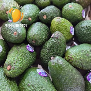 아보카도 중과 5.5kg