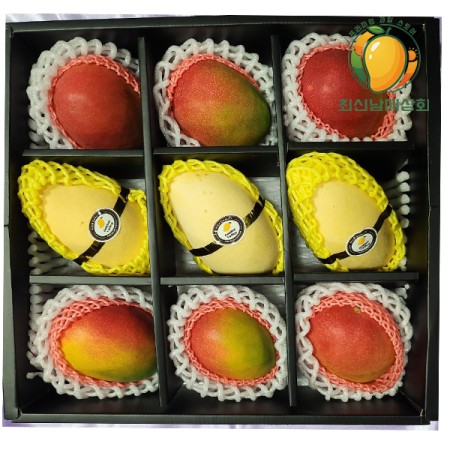 프리미엄 믹스망고 9과 선물세트