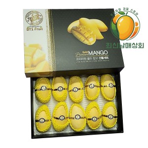 프리미엄 골드 망고 선물세트 10과